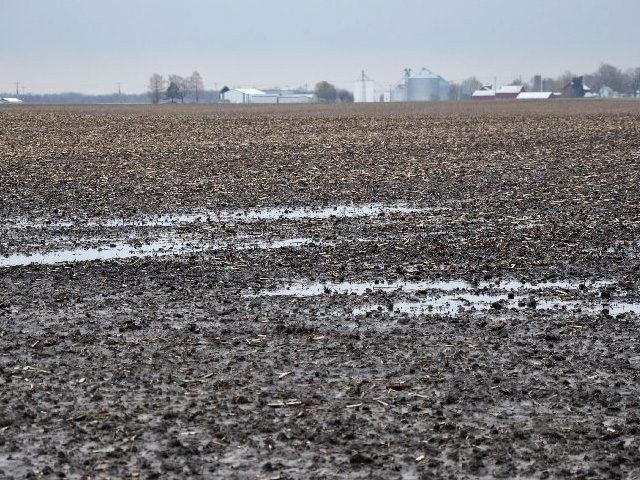 Wet conditions in the U.S. Southeast are delaying the start of fieldwork for the 2015 growing season. (DTN file photo by Katie Micik)